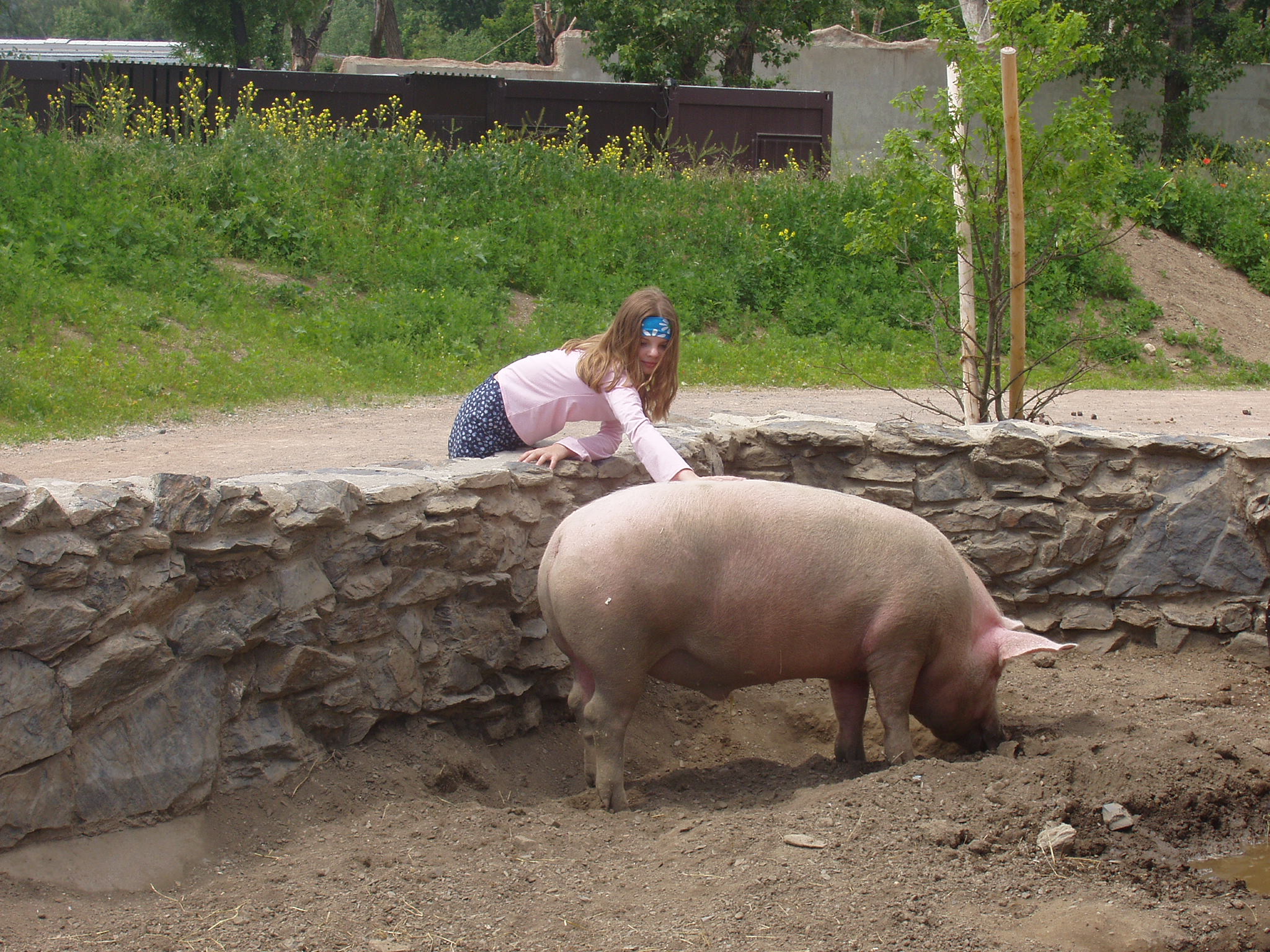 ilzd ( to v tom růžovym triku :))